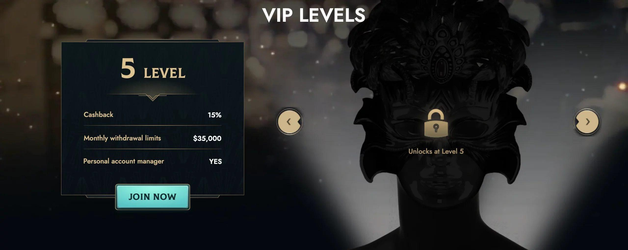 VIP Program