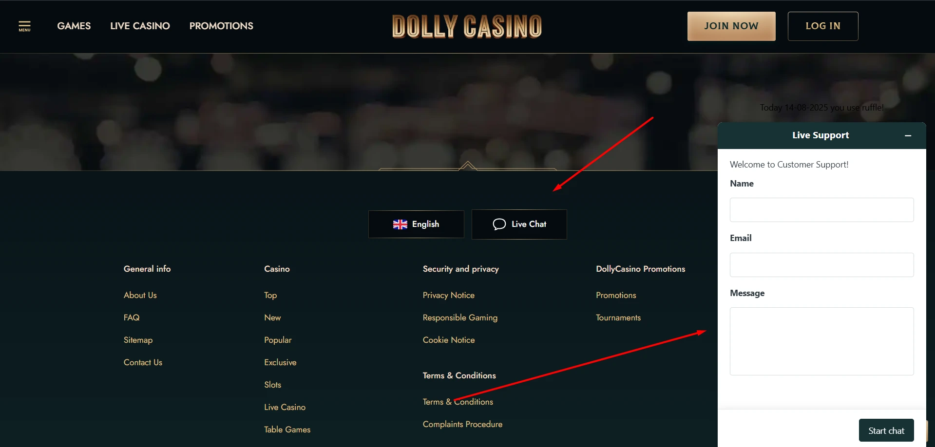dolly casino support